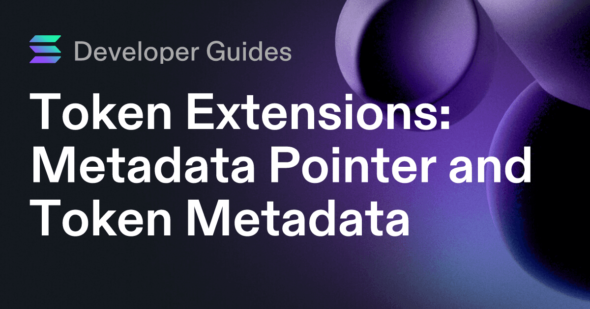 How to use the Metadata Pointer extension